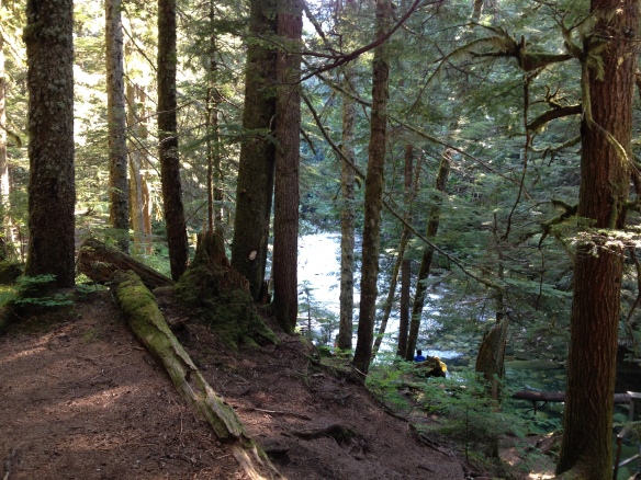 Denny Creek peaking through the trees, a perfect place to jump in, in the morning!